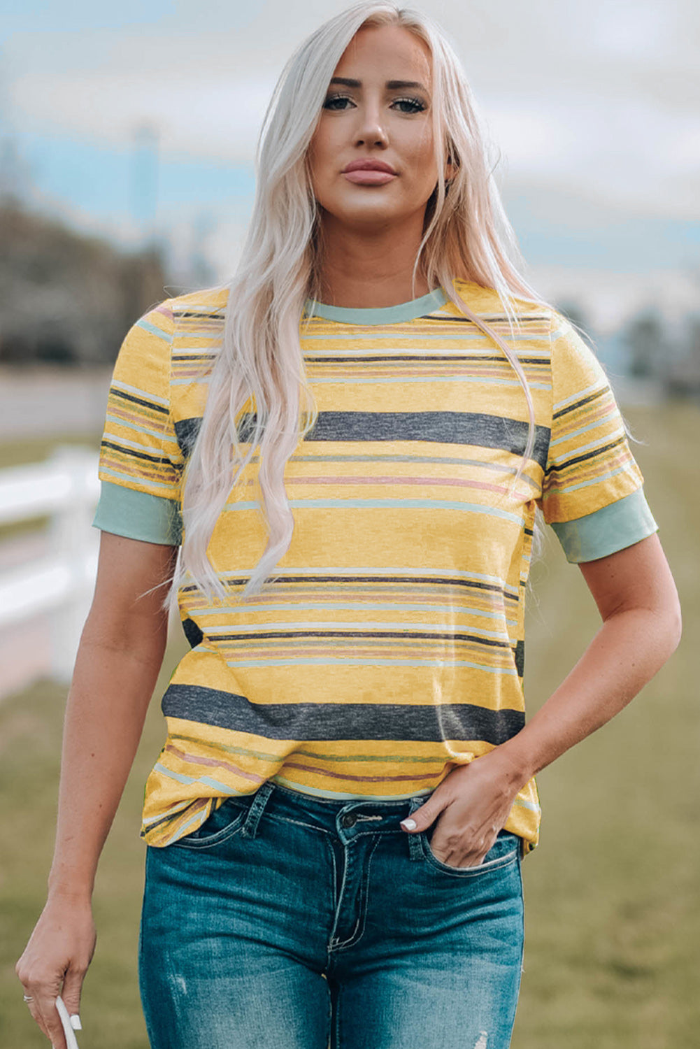 Multicolor Striped T Shirt