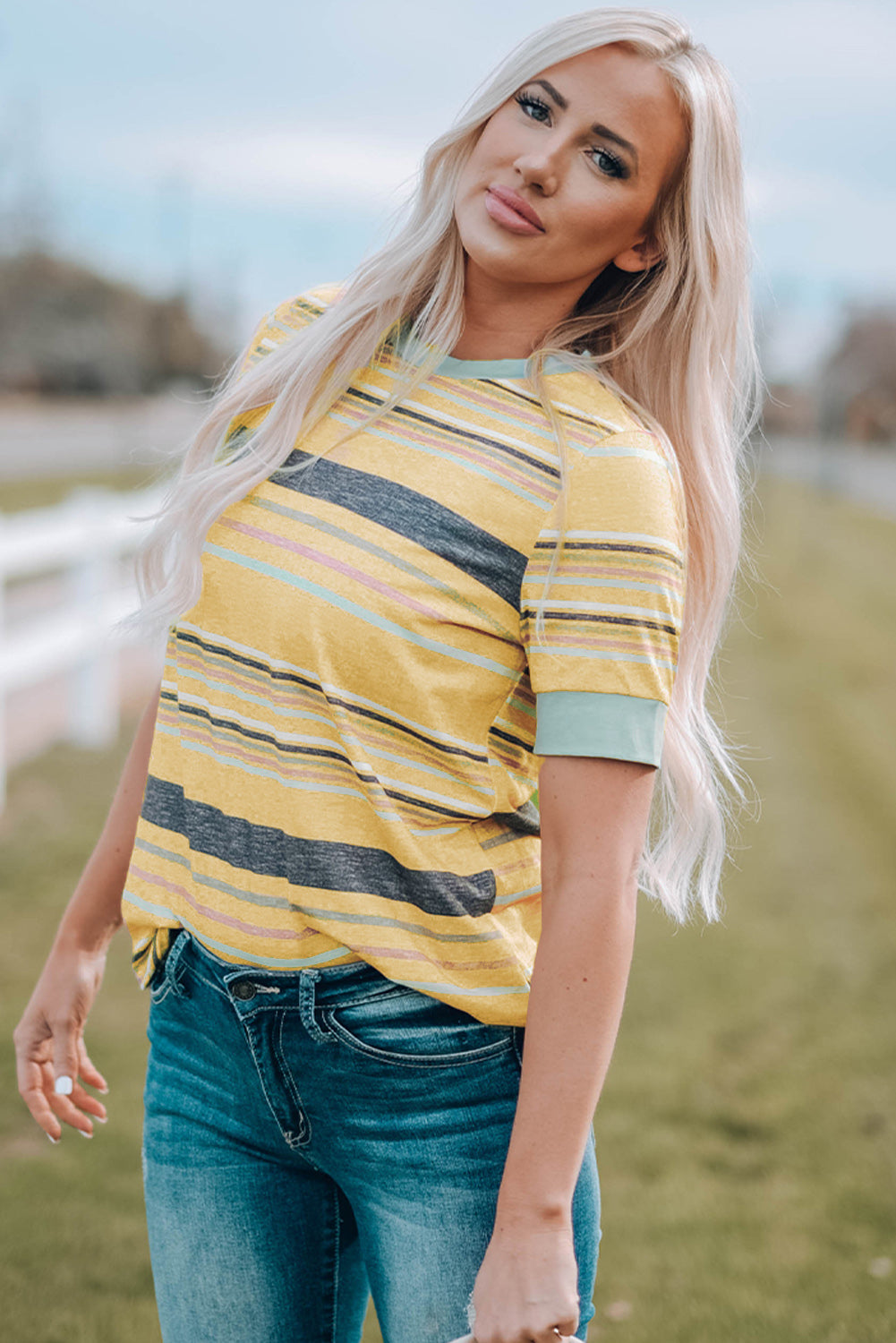 Multicolor Striped T Shirt